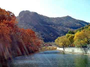 新澳天天开奖资料大全旅游团，世嘉油耗